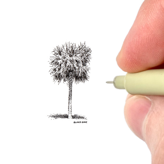 Palm
