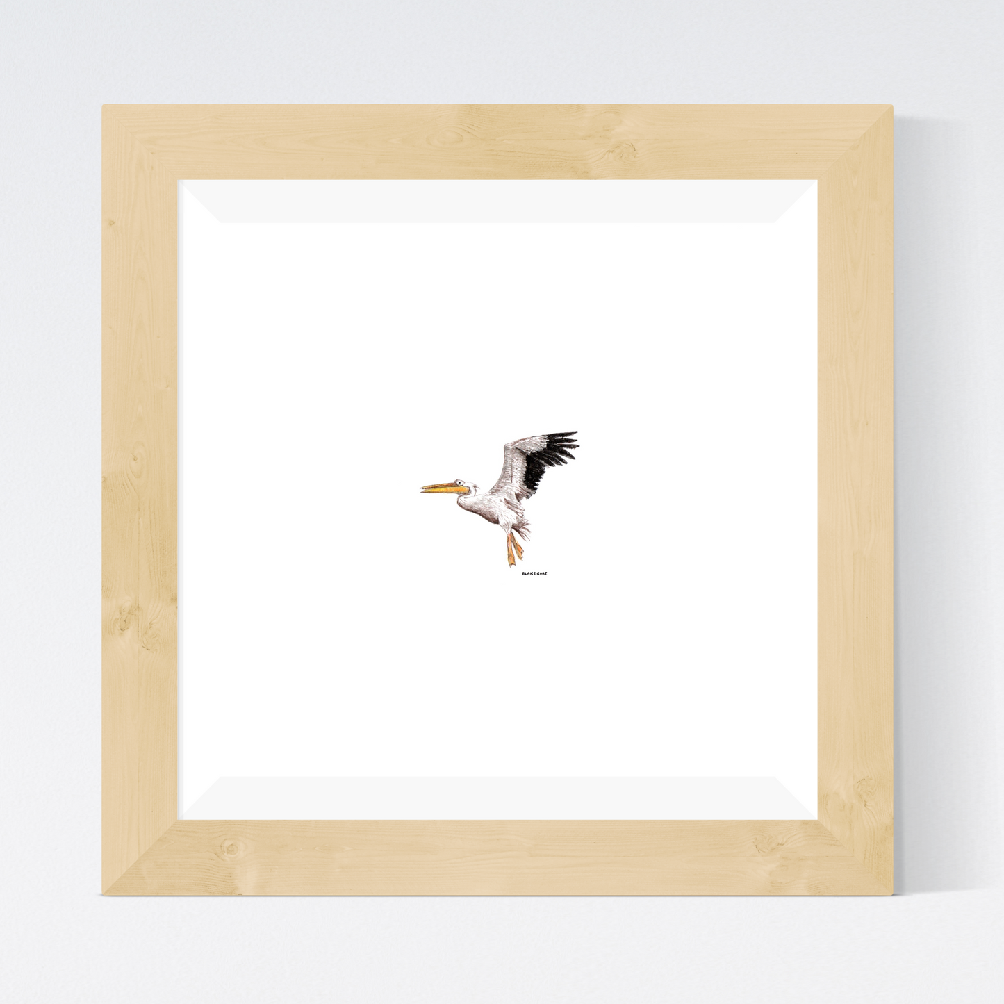 Pelican