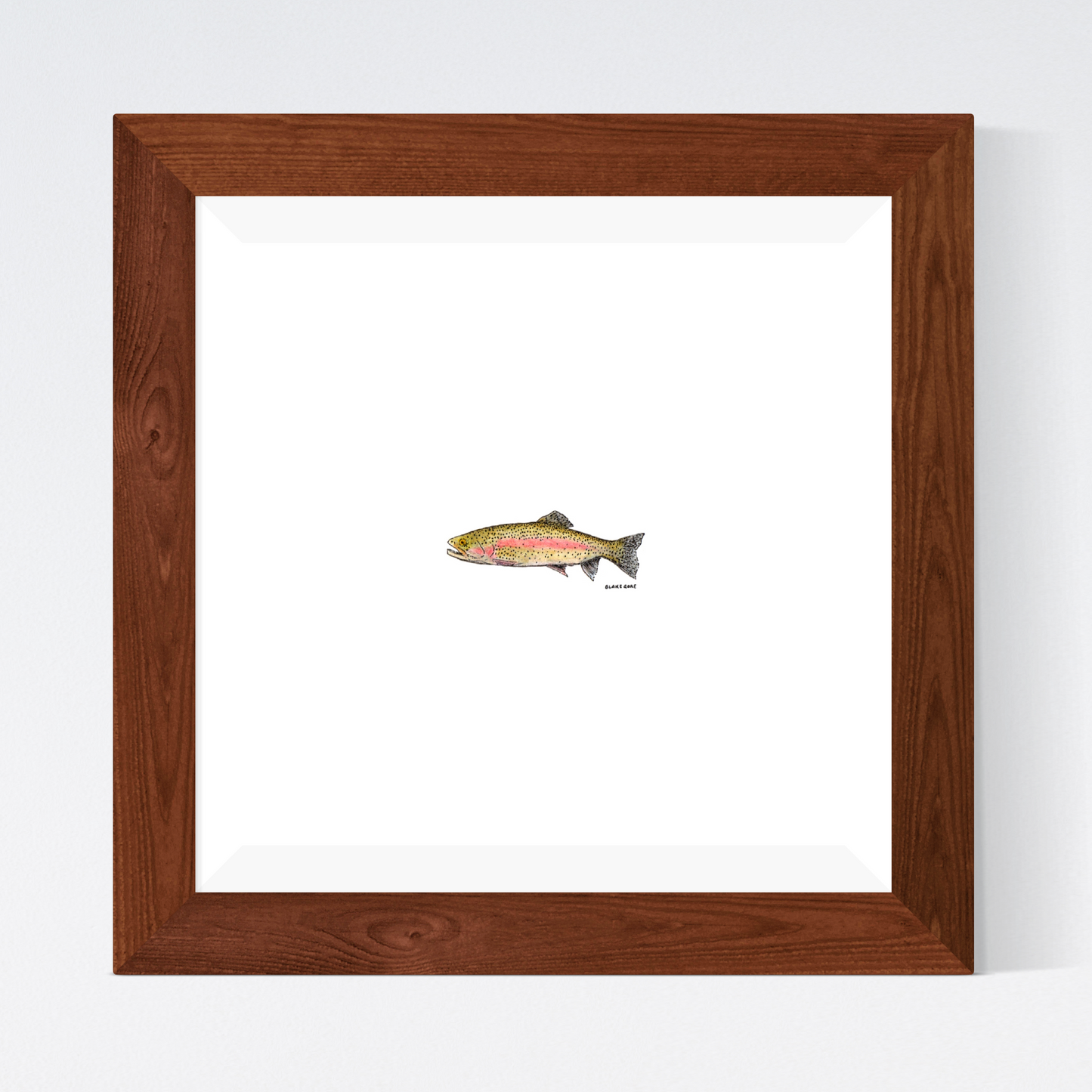 Rainbow Trout