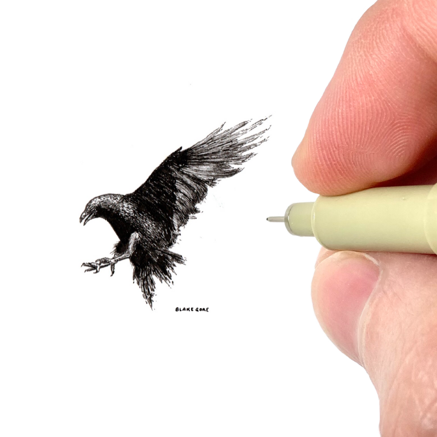 Raven