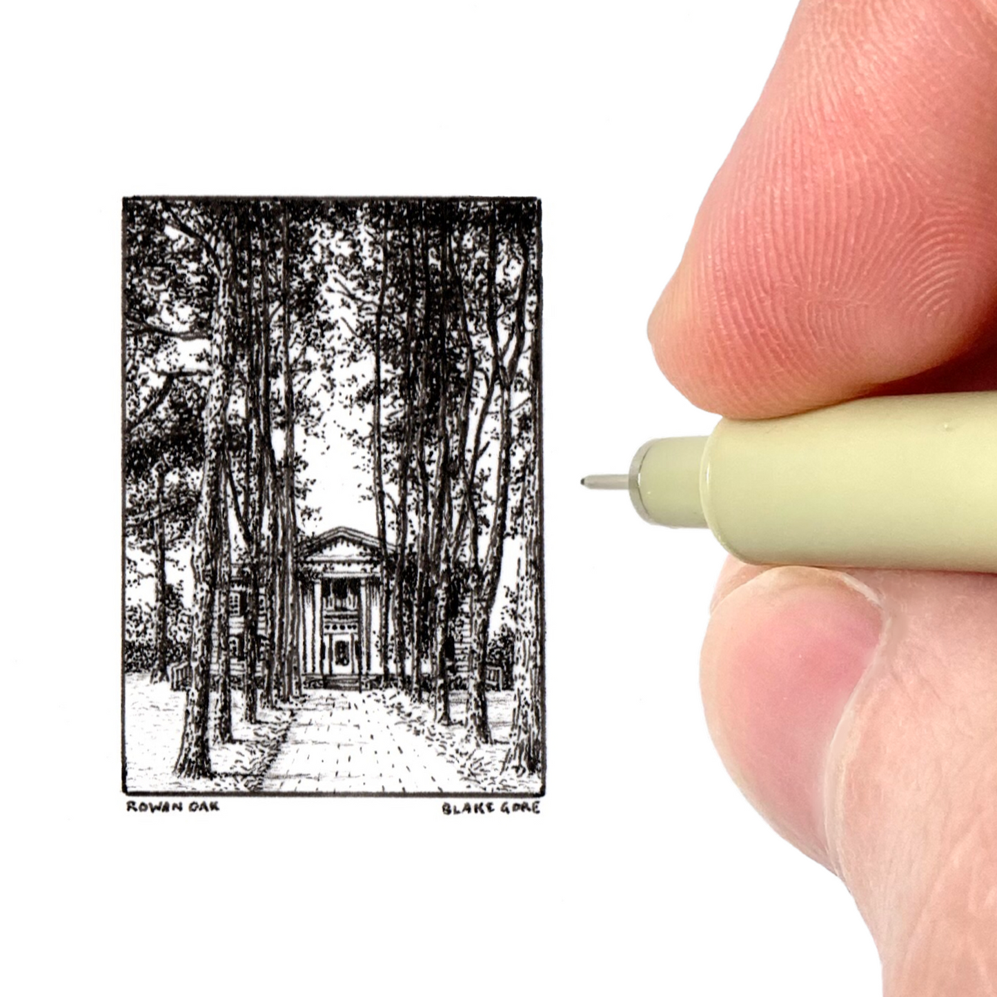 Williams Faulkner's Rowan Oak