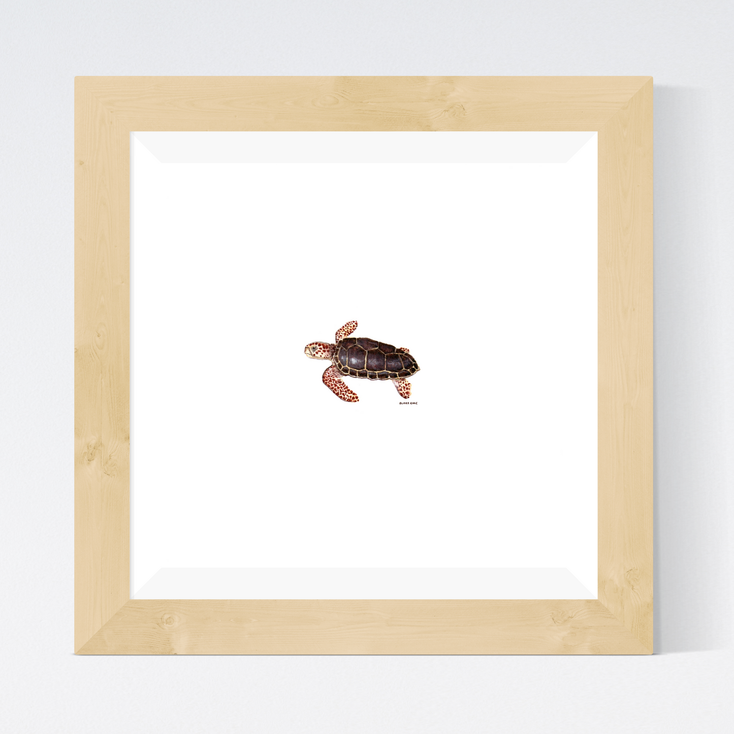 Sea Turtle