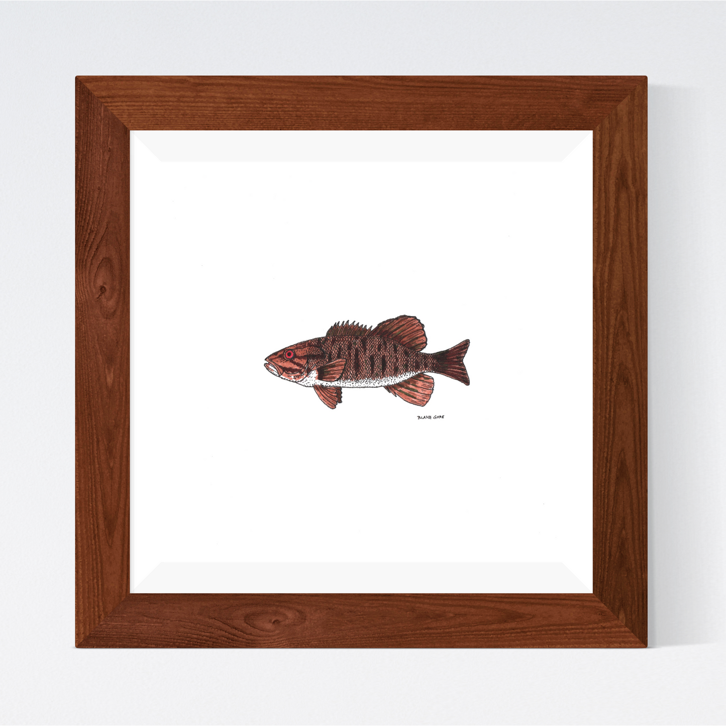 Smallmouth Bass