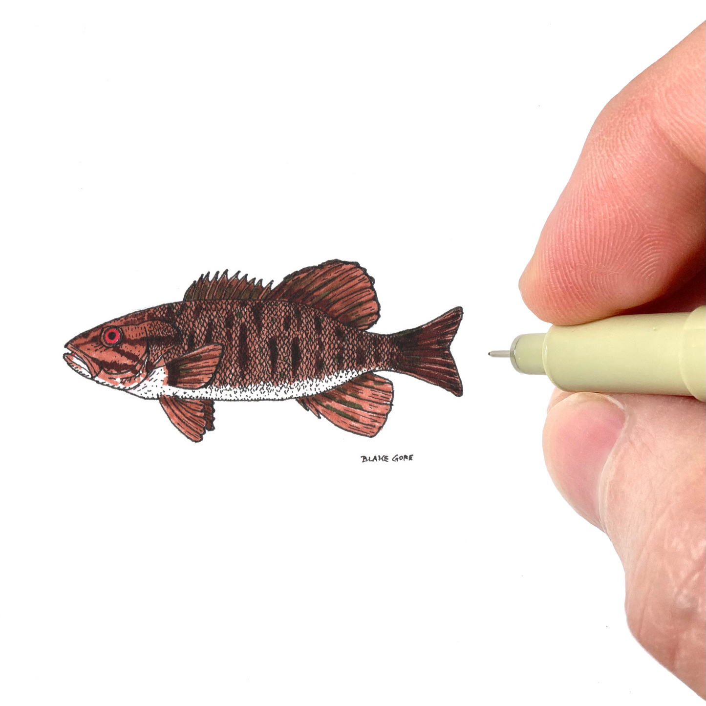 Smallmouth Bass