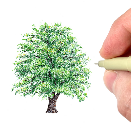 Sycamore