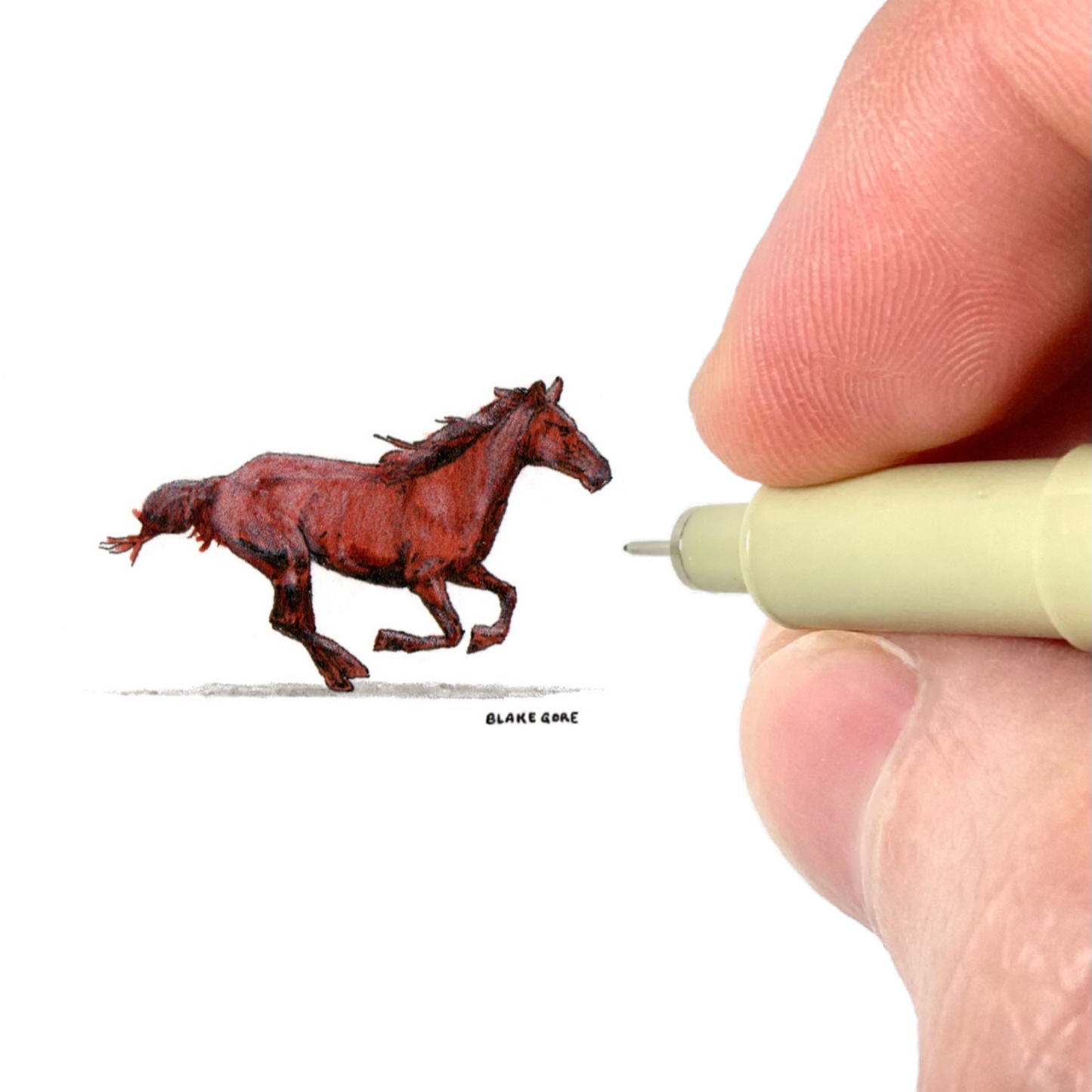 Thoroughbred (Original)