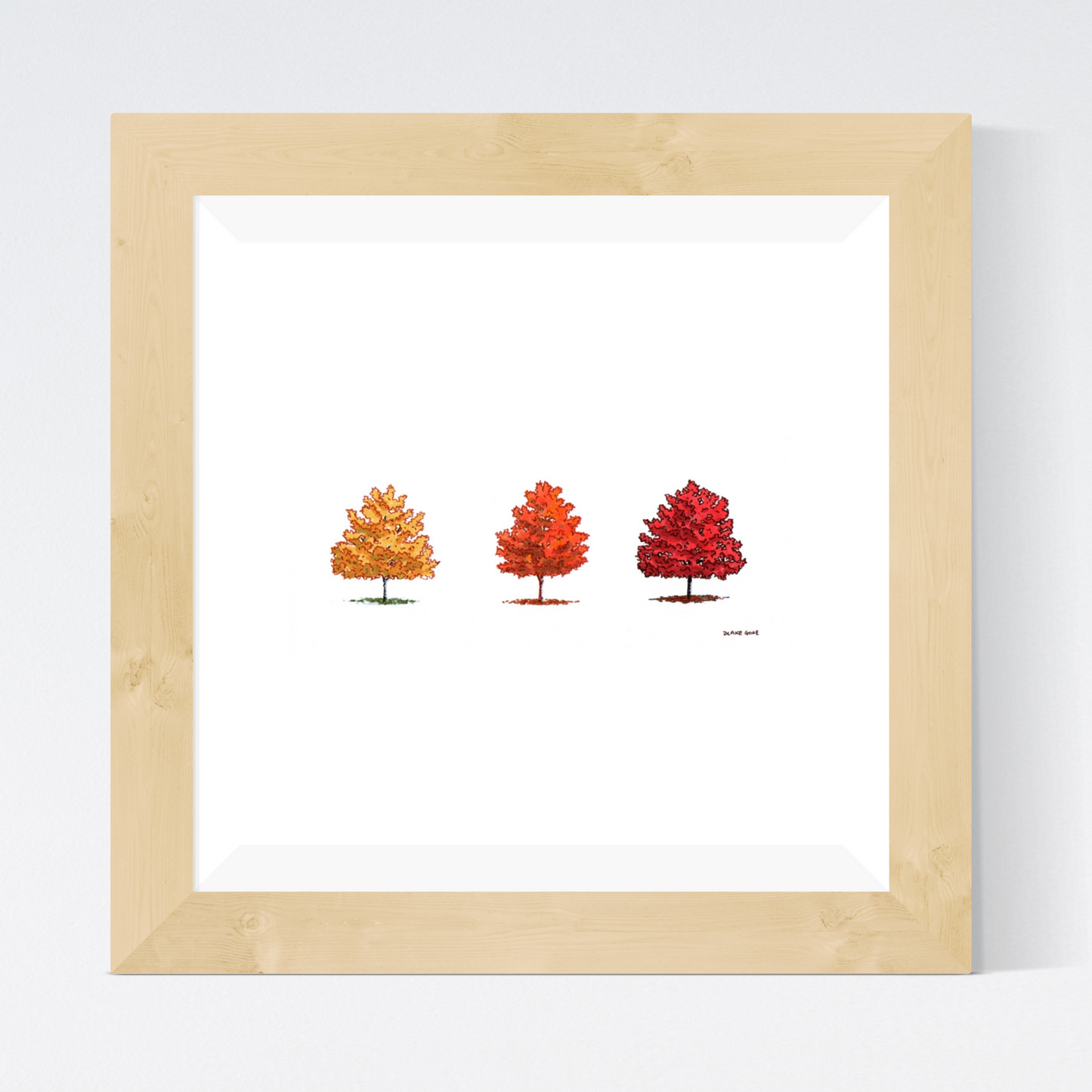 Three Maples