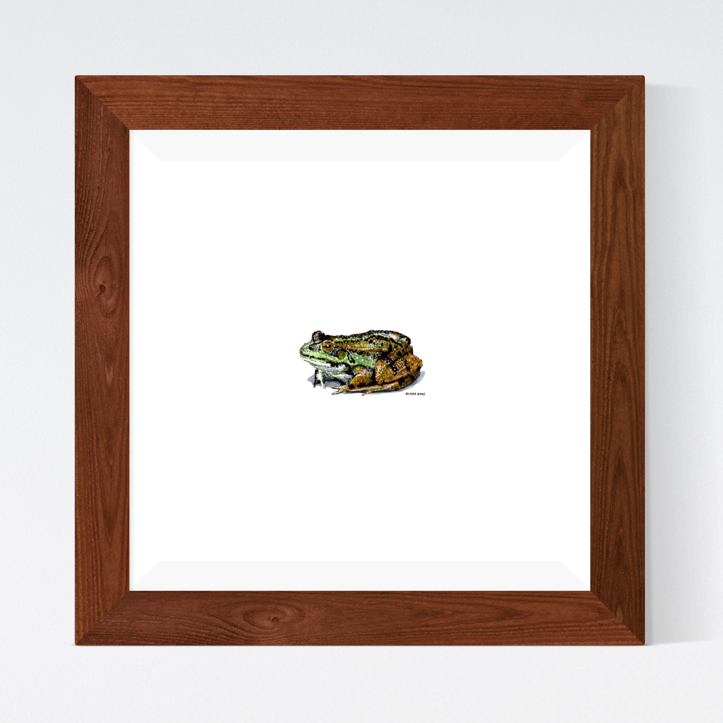 Toad