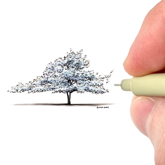 Virginia as a Dogwood