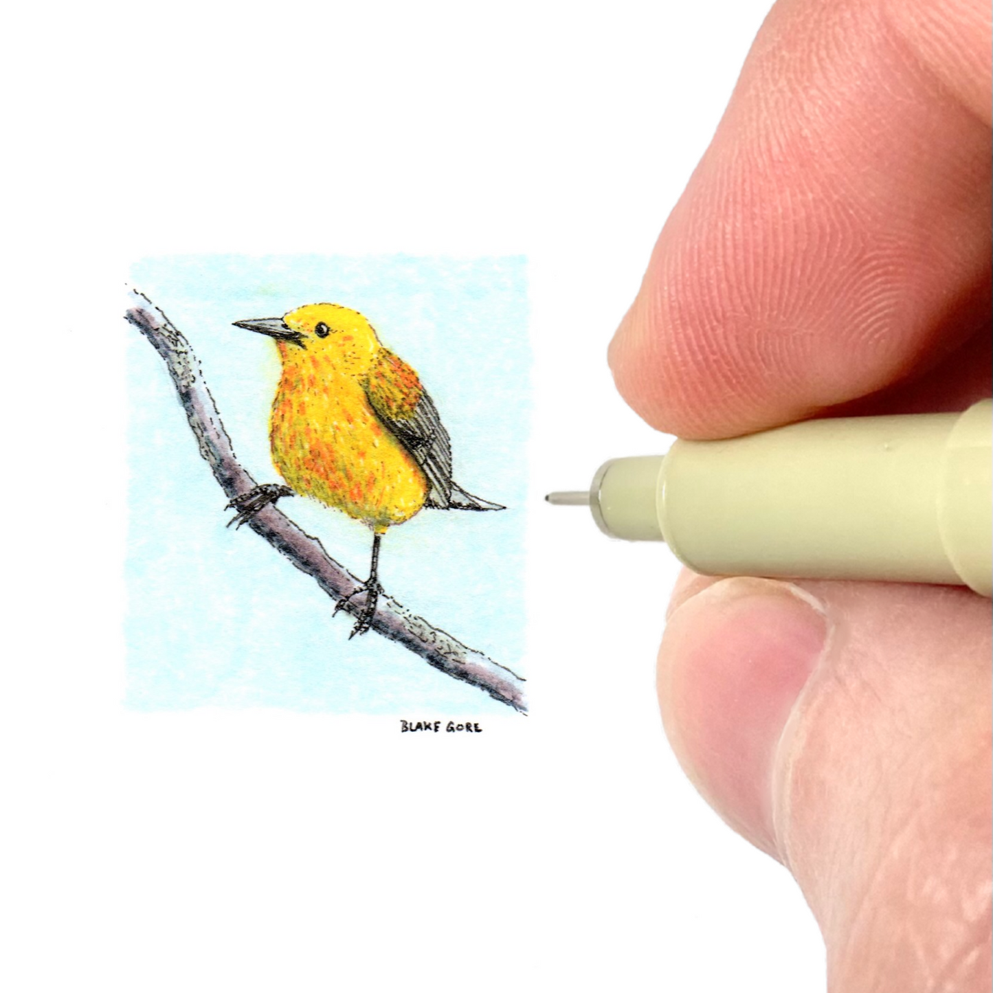 Warbler