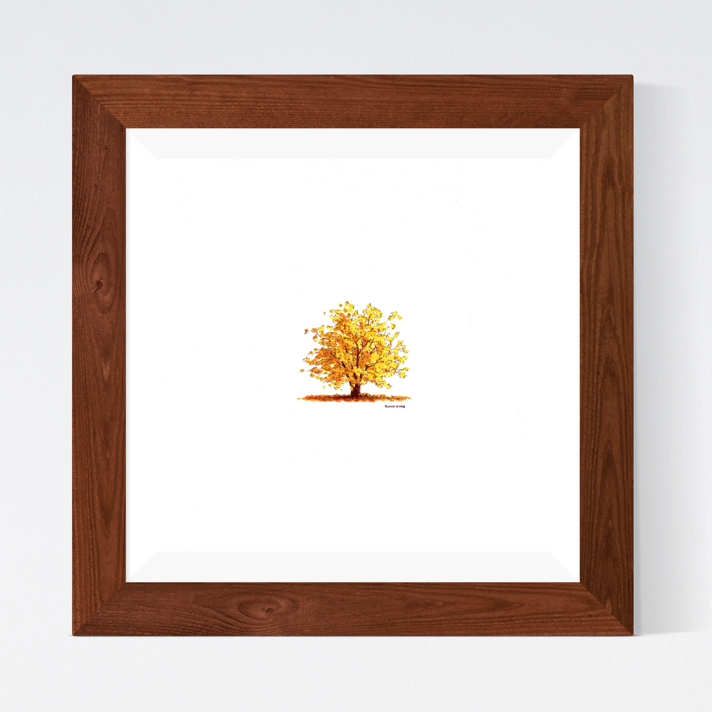 Yellow Oak