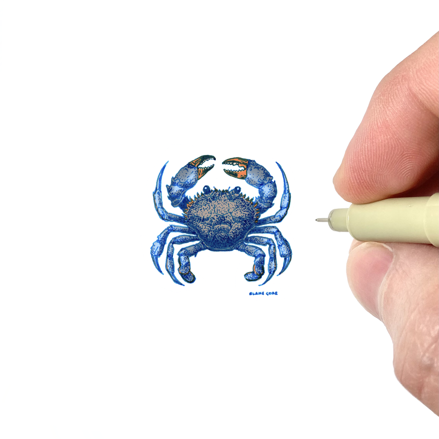 Blue Crab