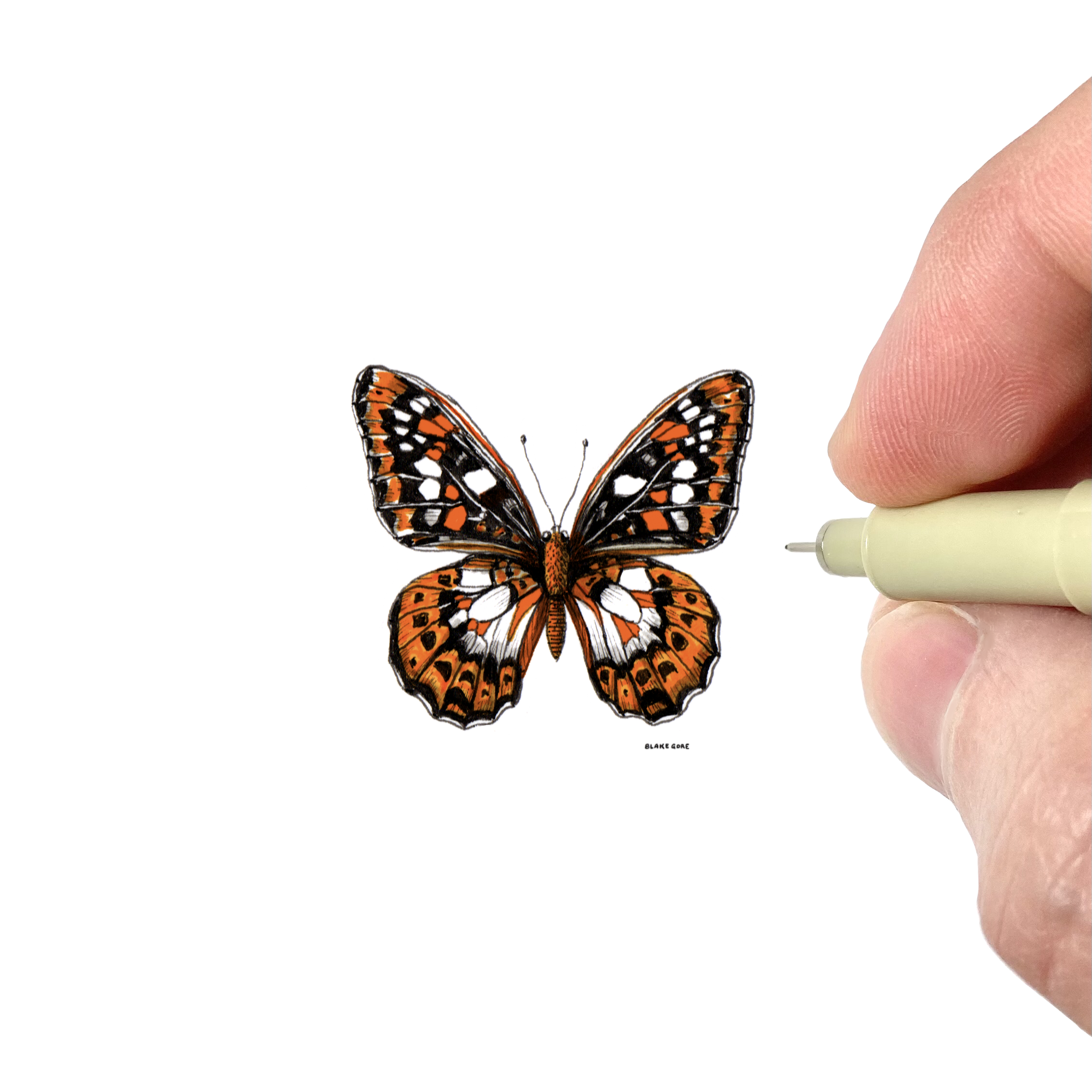 Butterfly, Miniature Fine Art Print by Blake Gore – Blake Gore ...