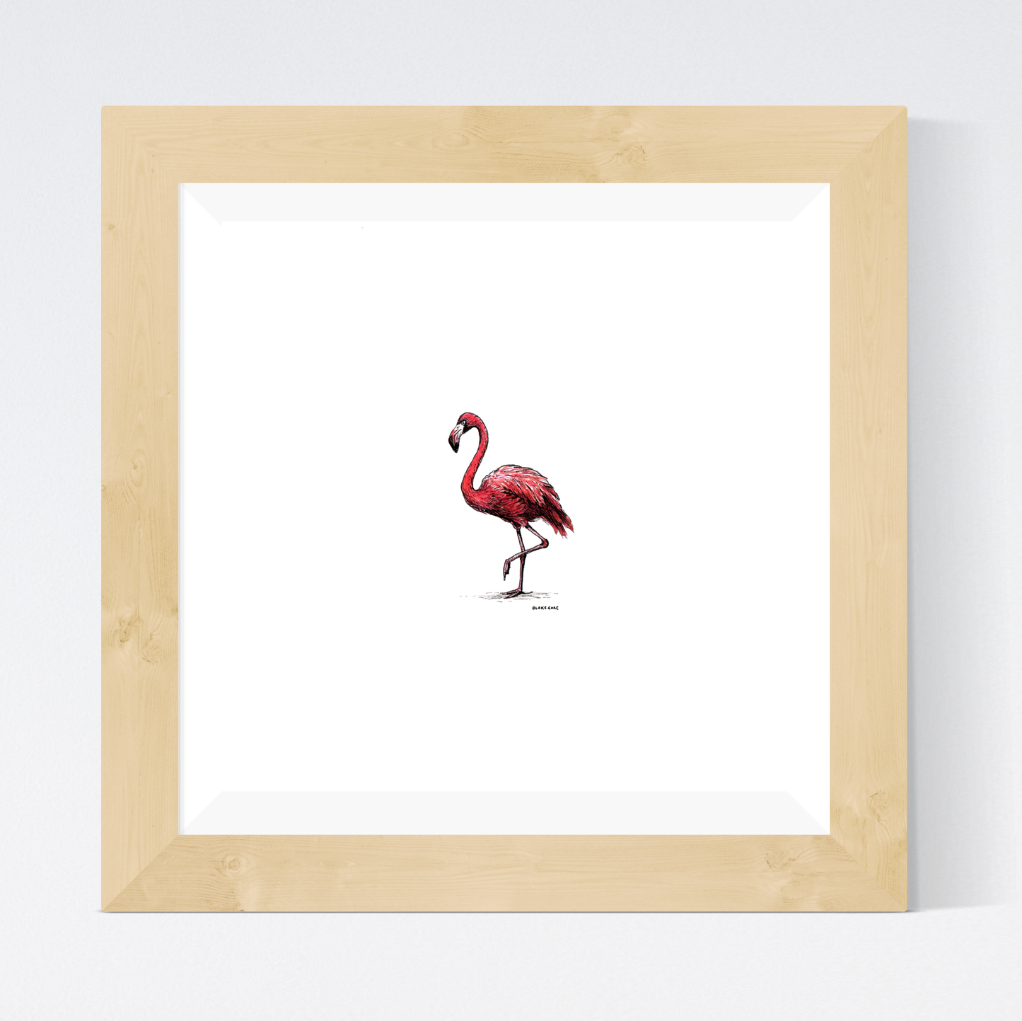 Flamingo