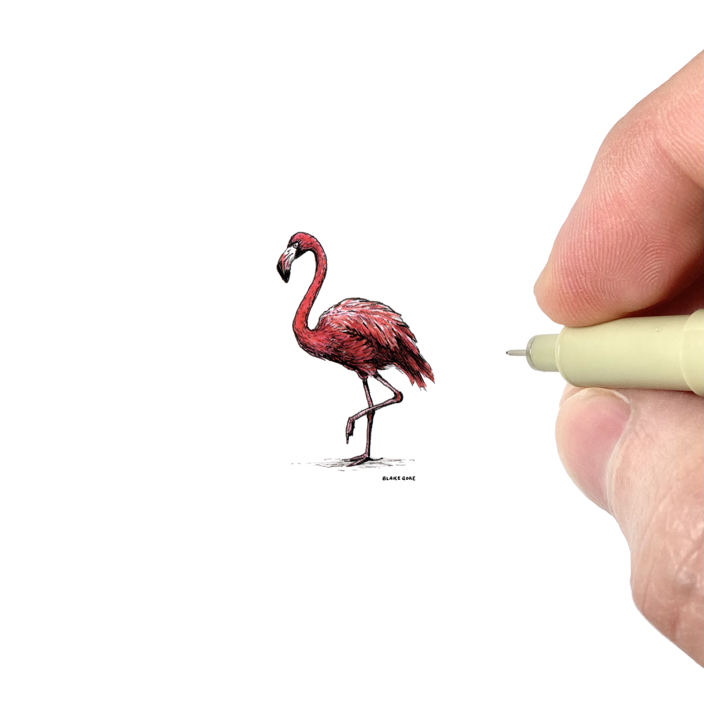 Flamingo