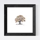 Golden Oak