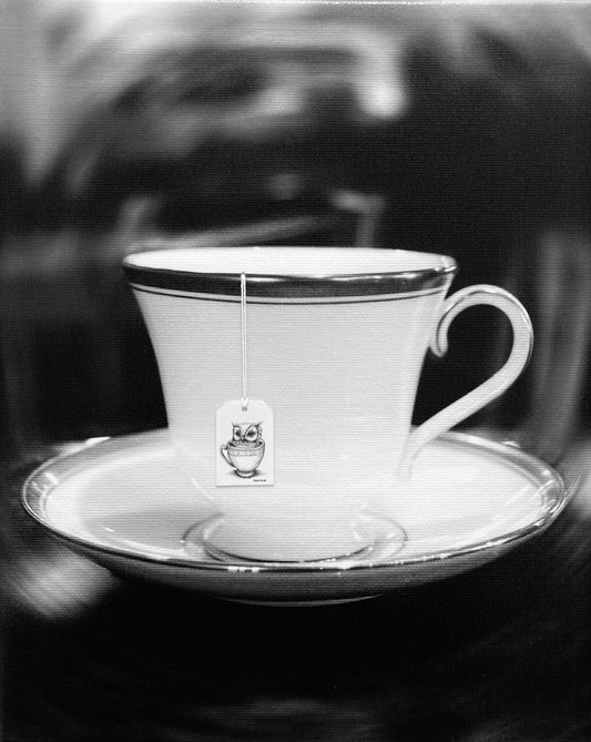 Teacup Owl