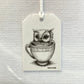 Teacup Owl