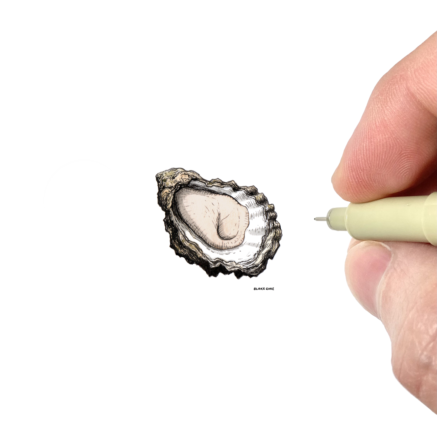 Oyster