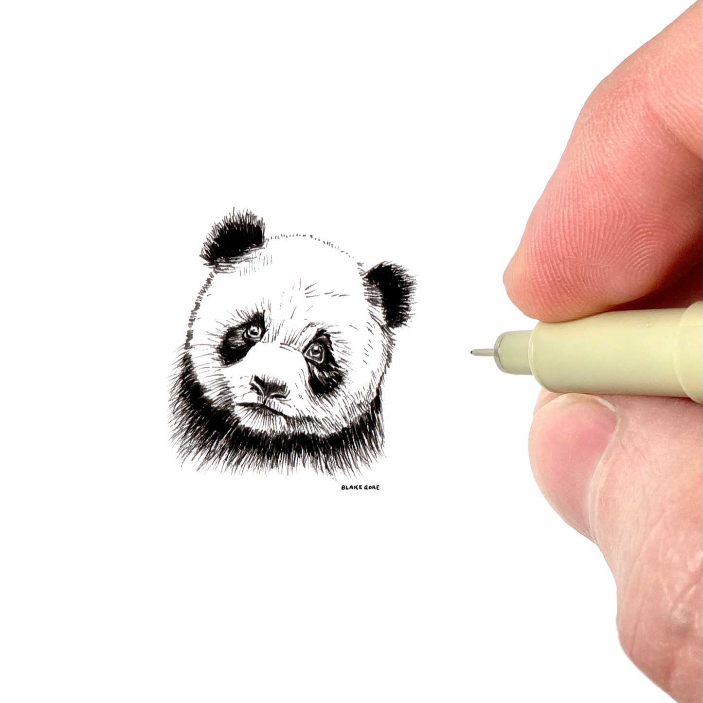 Panda, Miniature Fine Art Print by Blake Gore – Blake Gore Miniature Art