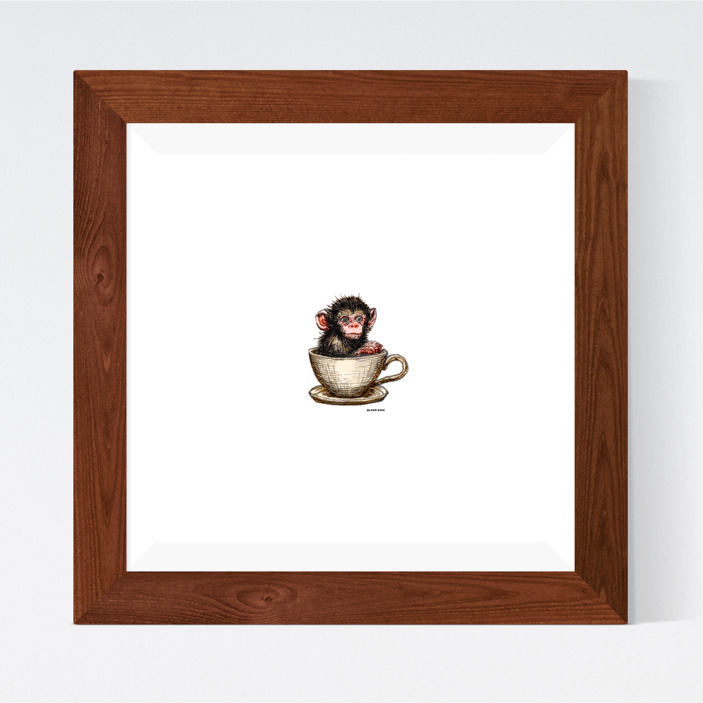 Teacup Monkey
