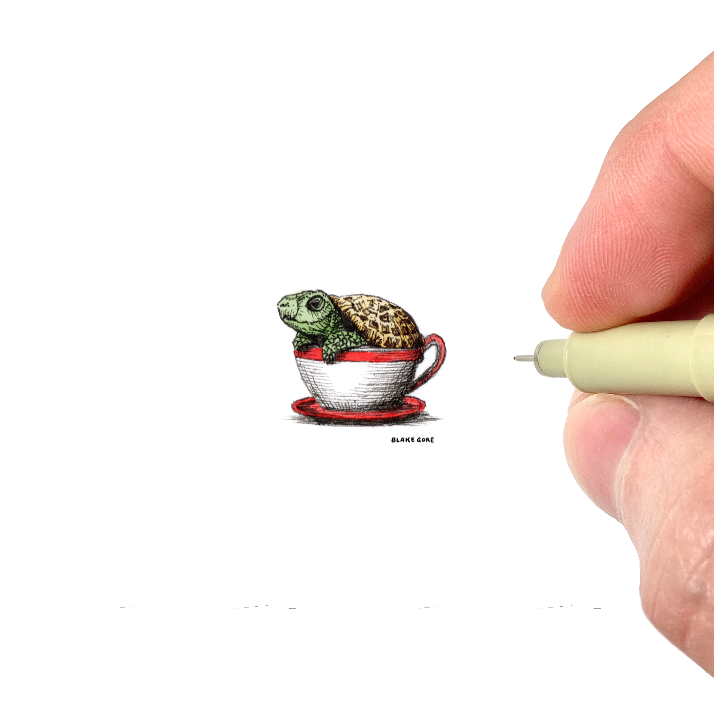 Teacup Turtle, Miniature Artwork by Blake Gore – Blake Gore Miniature Art